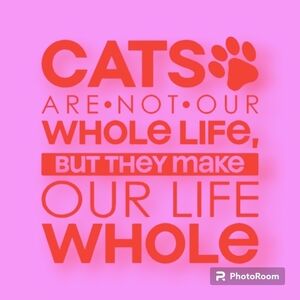 Cats Make Life Whole Orange Wall Decal